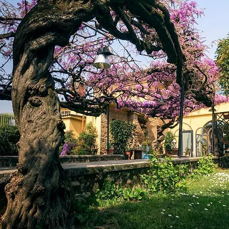 Bed and Breakfast Il Glicine Ristorante
