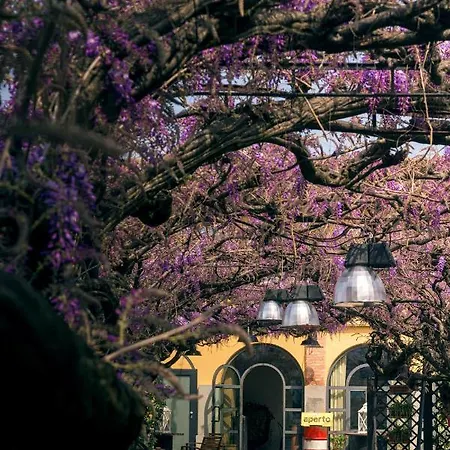 Bed and Breakfast Il Glicine Ristorante