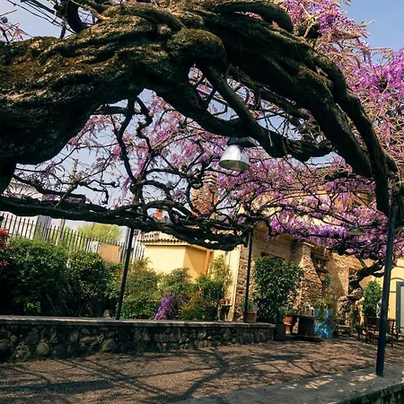 Il Glicine Ristorante Bed and Breakfast