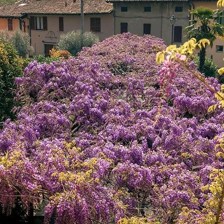 Il Glicine Ristorante Bed and Breakfast *