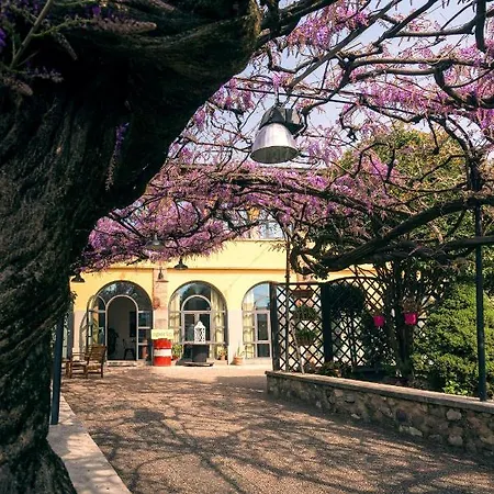 Bed and Breakfast Il Glicine Ristorante *