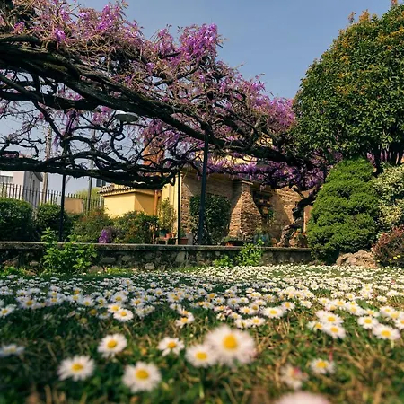 Il Glicine Ristorante Bed and Breakfast *