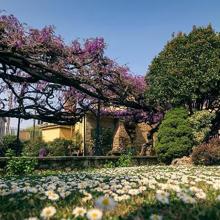 Il Glicine Ristorante Bed and Breakfast *